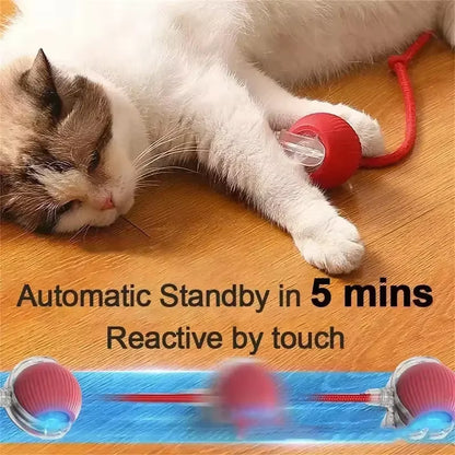 Rechargeable Interactive Dog & Cat Toy - Automatic Rolling Ball with Fake Tail for Endless Fun!