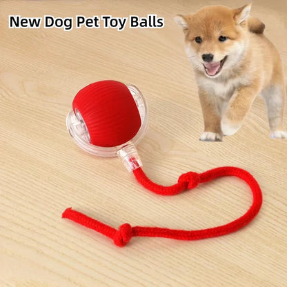 Rechargeable Interactive Dog & Cat Toy - Automatic Rolling Ball with Fake Tail for Endless Fun!
